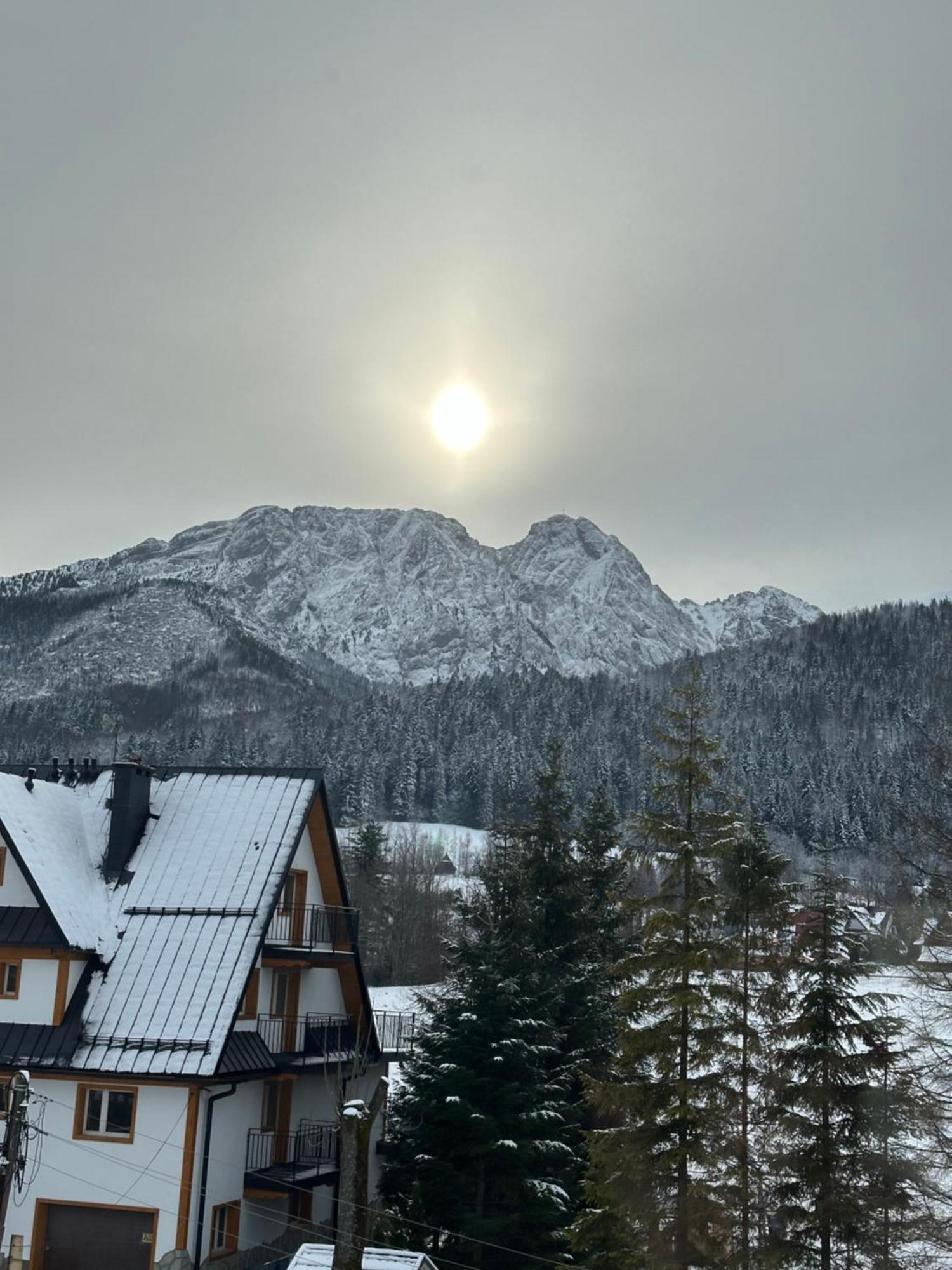 Willa Szafran Zakopane Exterior photo